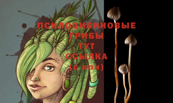 наркотики Вяземский